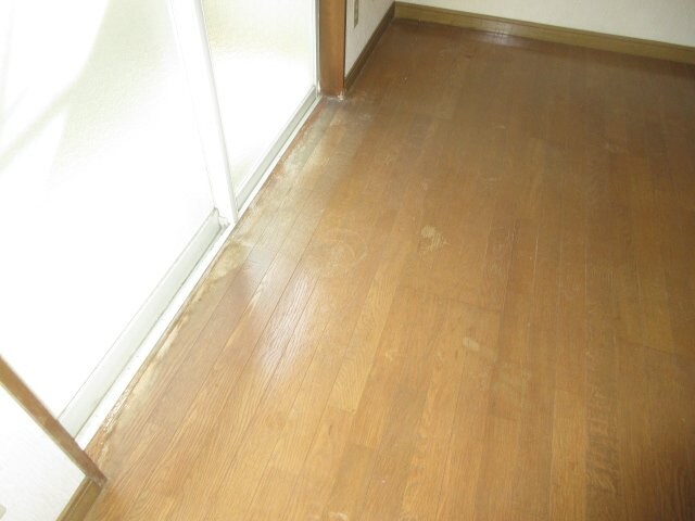 物件内観写真12　(フローリング)