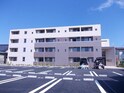 フォレストカワセミ