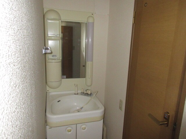 物件内観写真10　(洗髪洗浄化粧台の使いやすい洗面所です)