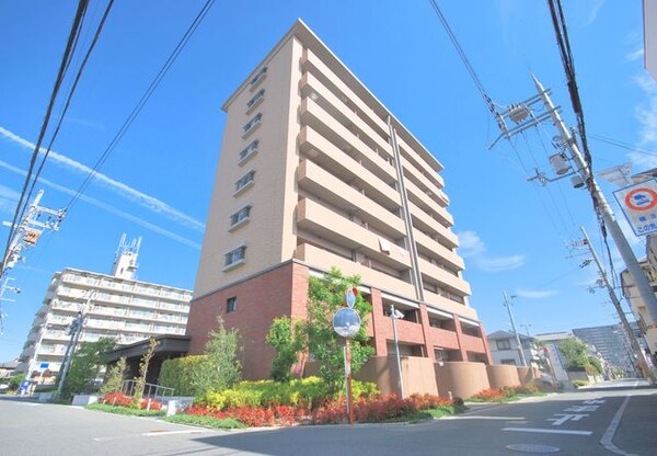 外観・土地
