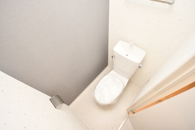 物件内観写真9　(トイレ)