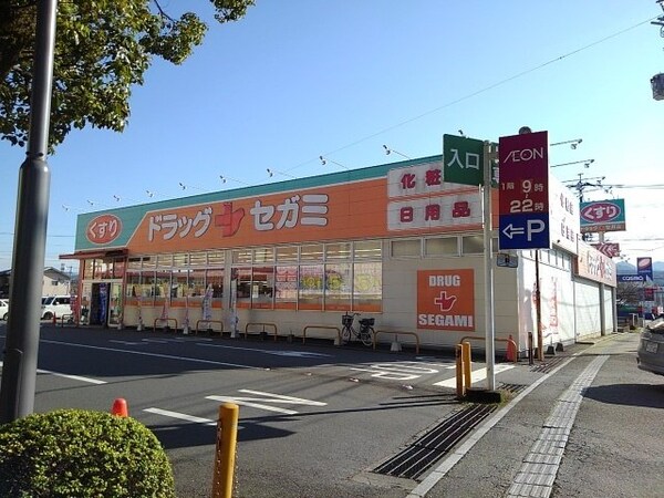 周辺環境(ドラッグセガミ日田店まで660m)
