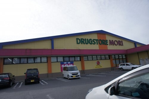 ドラッグストアモリ