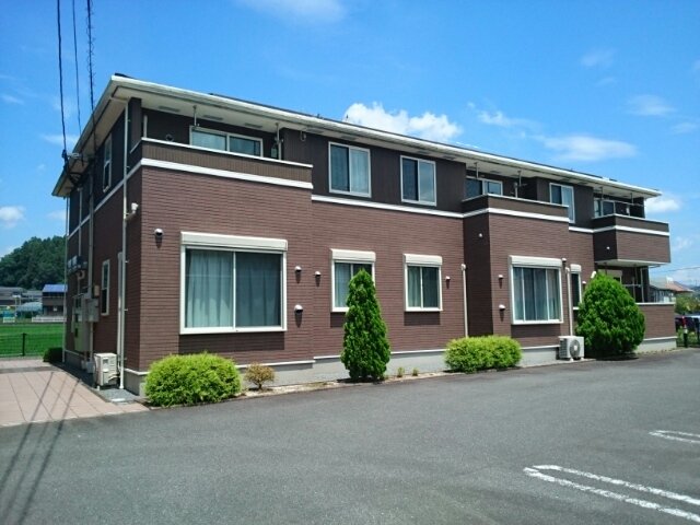 プリムローズＢ