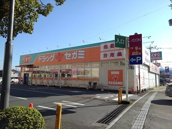 周辺環境(ドラッグセガミ日田店まで650m)