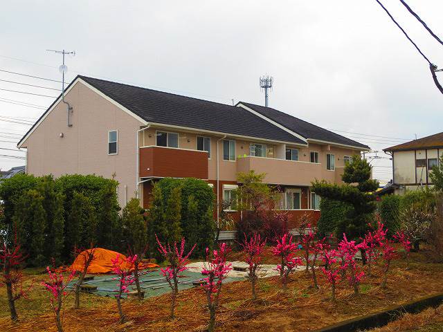 サンシャイン