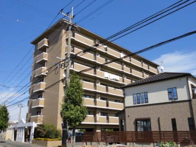 パティオ七夕