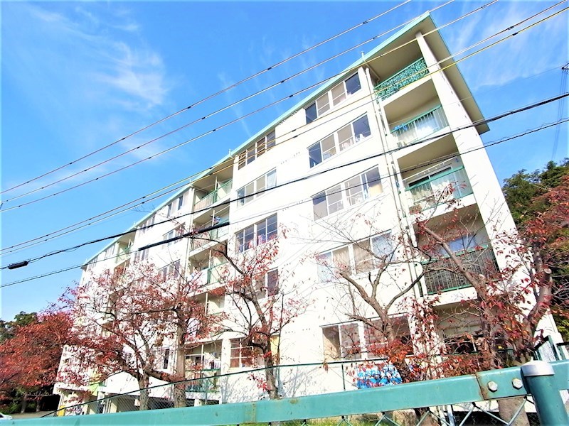 緑マンション
