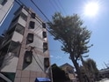 インペリアル六甲