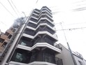 シャロン灘