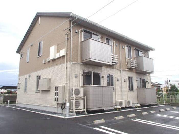 ハイデンレースラインII