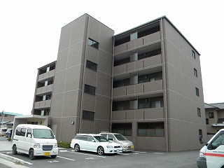 ＷＩＬＬ ＧＲＡＳＥ