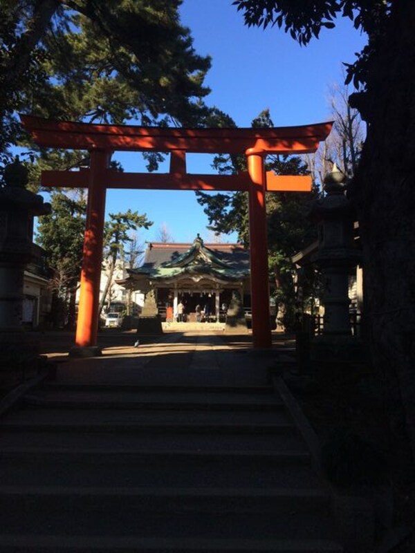 周辺環境(天沼八幡神社 994m)