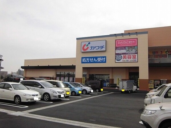 周辺環境(カワチ薬局　大曽店まで800m)