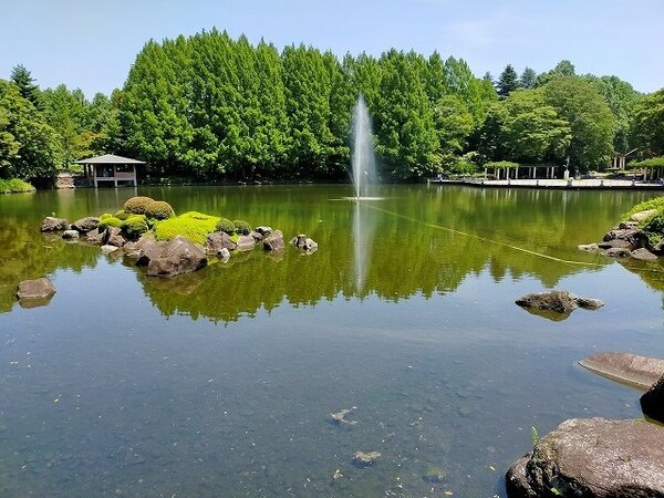 周辺環境(中央公園まで650m)