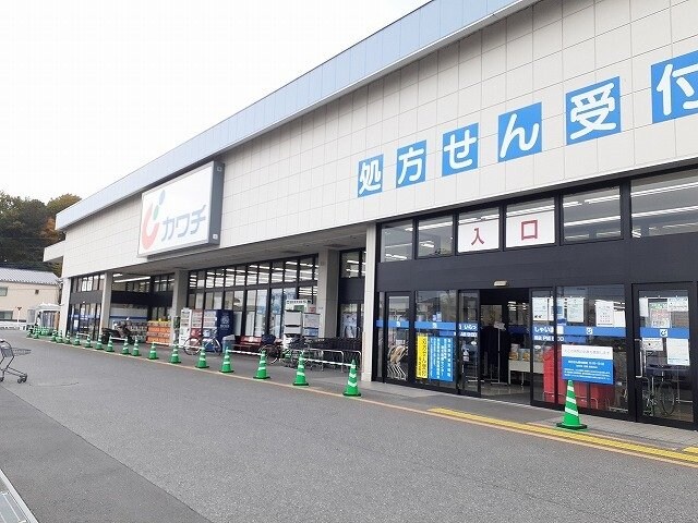 物件外観写真6　(カワチ薬品三の沢店まで1300m)