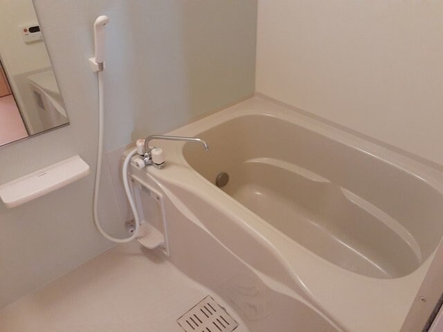 物件内観写真11　(落ち着いた空間のお風呂です)