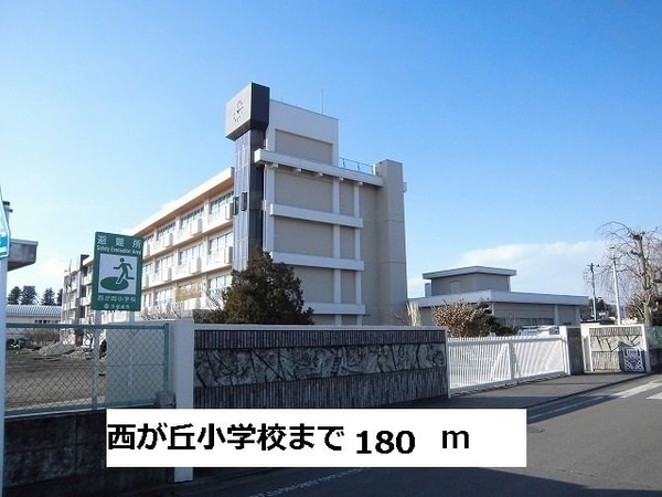 周辺環境(西が丘小学校まで180m)
