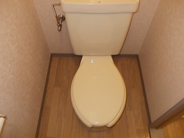 トイレ(落ち着いた色調のトイレです)