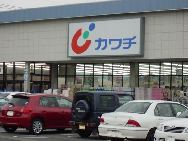周辺環境(カワチ薬品雀宮店まで2,922ｍ)