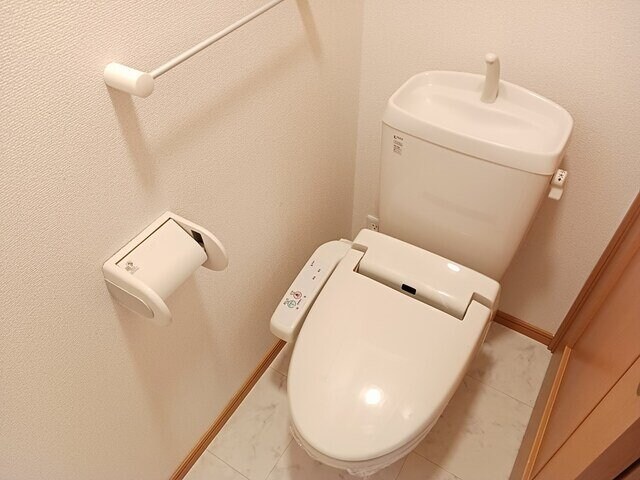 物件内観写真13　(落ち着いたトイレです)