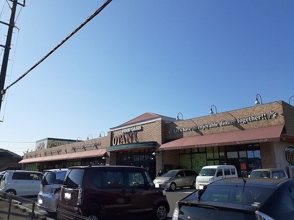 周辺環境(フードオアシスオータニ平松店まで800m)
