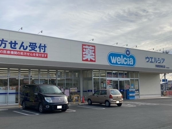 周辺環境(ウエルシア宇都宮駒生店まで1100m)