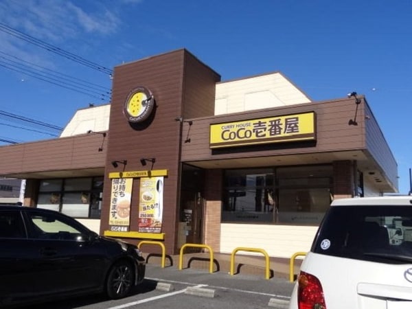 周辺環境(CoCo壱番屋まで500m)