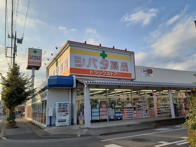 物件外観写真4　(シバタ薬品住吉店まで500m)