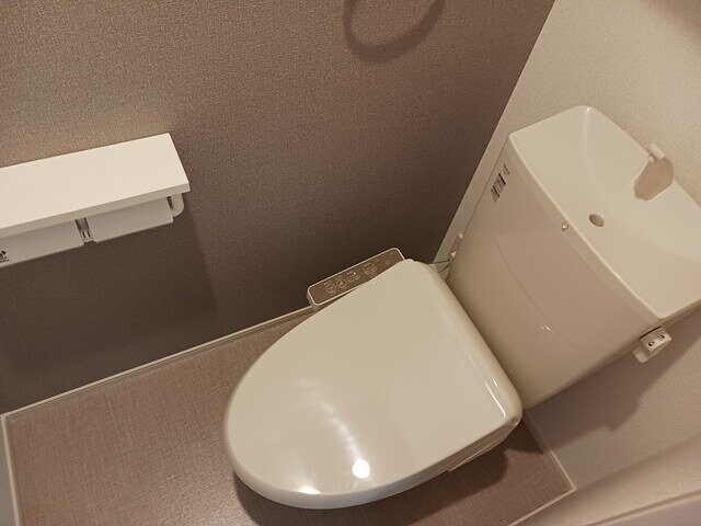 物件内観写真13　(落ち着いたトイレです)