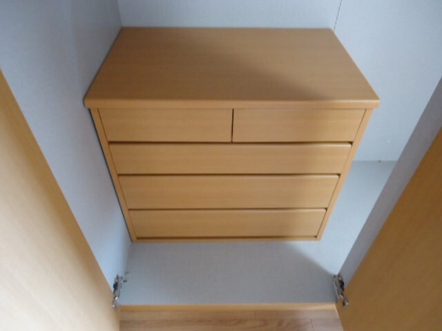 物件内観写真20　(クローゼット内チェスト)