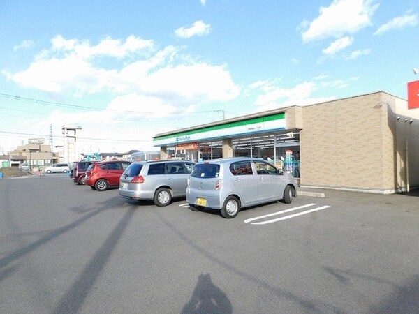 周辺環境(ファミリーマートまで300m)