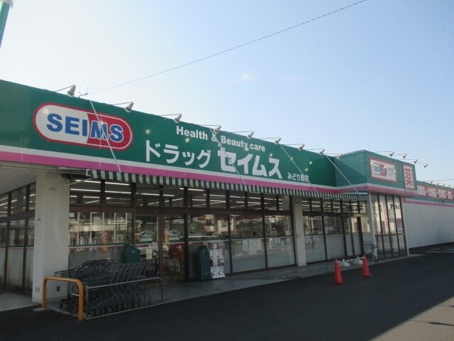 物件外観写真4　(セイムスみどり野店まで650m)