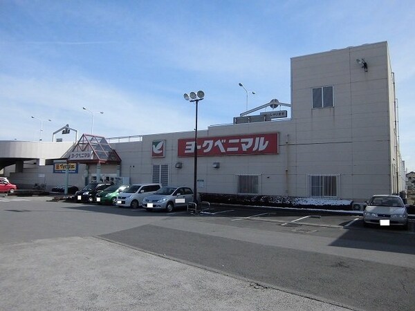 周辺環境(ヨークベニマルまで900m)