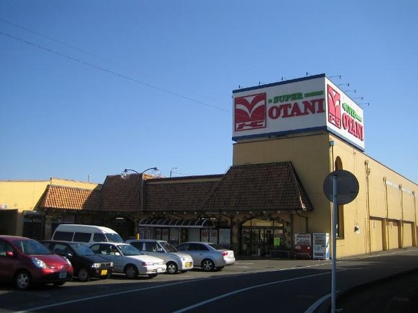 周辺環境(スーパーオータニ野沢店まで1,704ｍ)