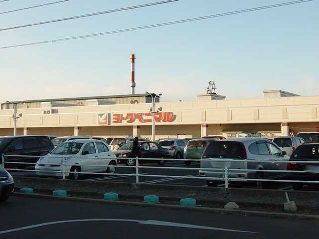 物件外観写真4　(ヨークベニマル細谷店まで1,300ｍ)