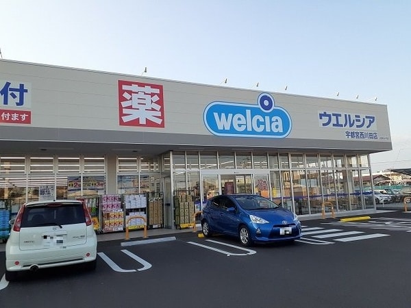 周辺環境(ウエルシア宇都宮西川田店まで900m)