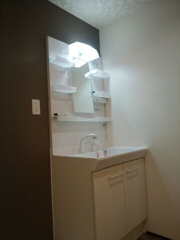 物件内観写真4　(朝の支度にも助かる、独立の洗髪洗面化粧台)