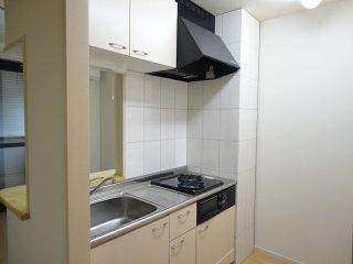 物件内観写真11　(キッチン)