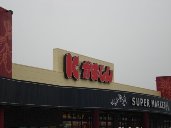 周辺環境(かましん雀宮店まで1,319ｍ)