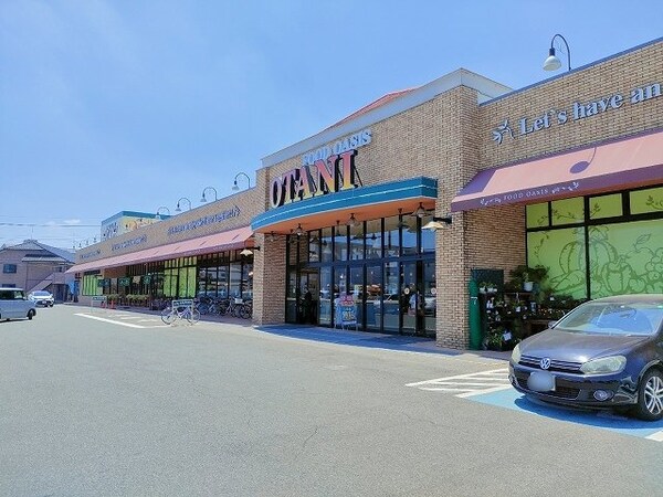 周辺環境(フードオアシスオータニ平松店まで650m)