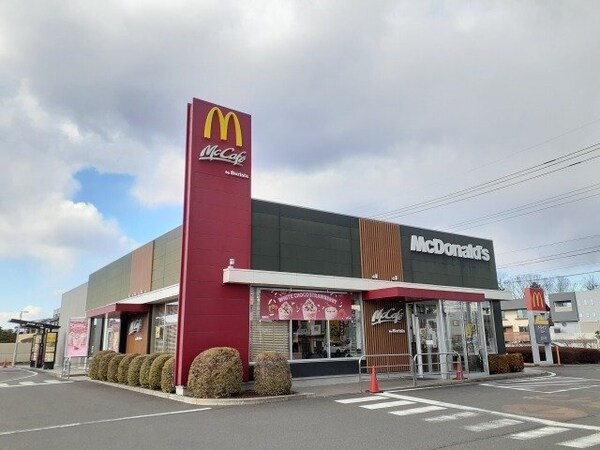 周辺環境(マクドナルド宇都宮西川田店まで550m)