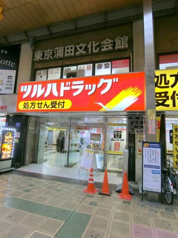 周辺環境(ツルハドラッグ蒲田店 858m)