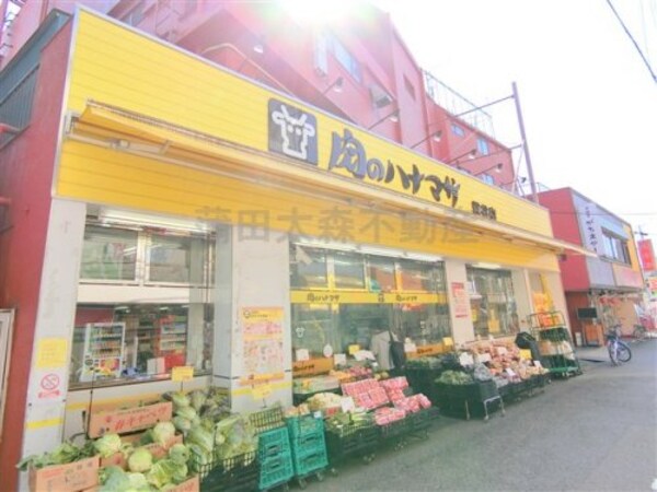 周辺環境(肉のハナマサ 糀谷店 567m)