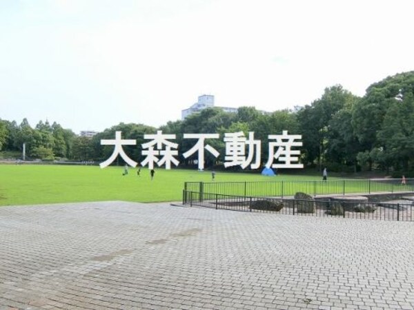 周辺環境(平和の森公園 1238m)