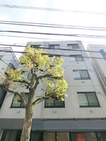 2021年7月築　RC鉄筋コンクリート造地上5階建て総戸数2