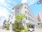 外観タイル張り　RC鉄筋コンクリート造地上5階建て1K～1L