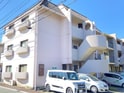 GRAZIA帯山