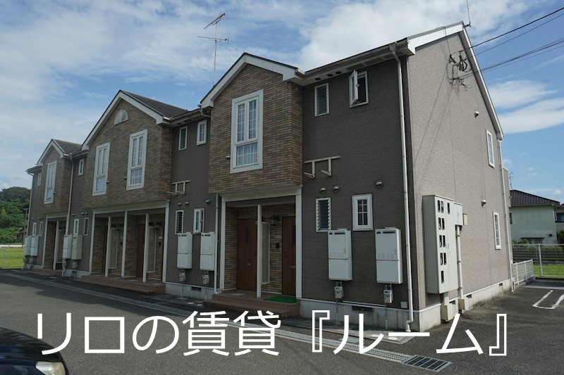 プラシードD
