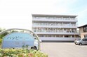 パッピールーツ沖浜